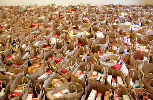 multitude of paper grocery bags with donated food